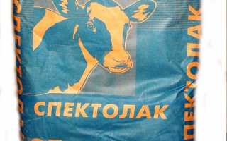 Как правильно разводить сухое молоко для телят?