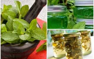 Варенье из мяты на зиму: 14 рецептов вкусного и полезного лакомства