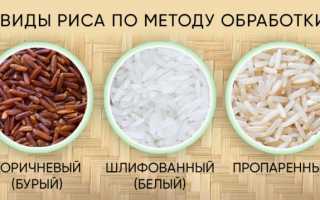 Основа питания или не самый полезный продукт? Ответили на все спорные вопросы о рисе