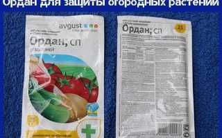 Инструкция по применению препарата Ордан для защиты огородных растений