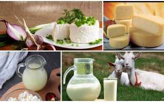 4 продукта из козьего молока своими руками
