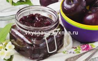 ТОП 11 вкусных рецептов приготовления варенья из желтой сливы на зиму