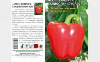 Как правильно выращивать перцы сорта Калифорнийское чудо