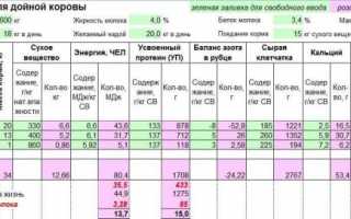 Принципы правильного кормления высокоудойных коров