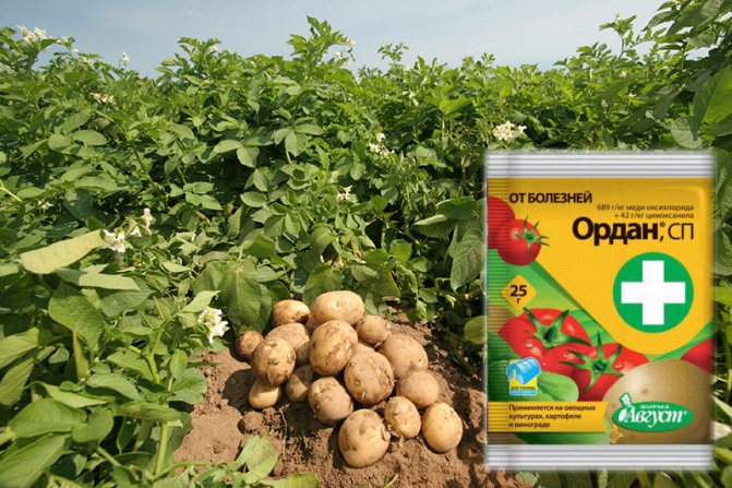 фунгицид Ордан