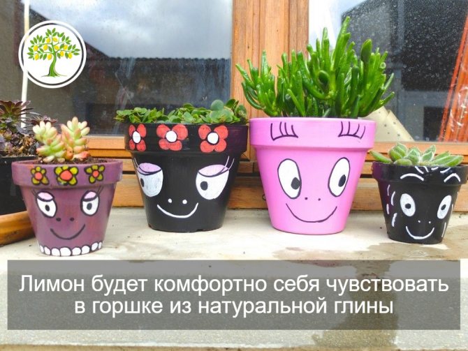 глиняные горшки