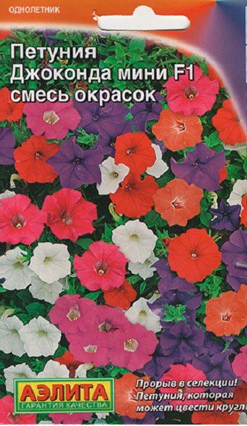 Характеристика петунии Джоконда F1 - описание с фото