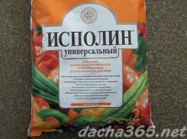 исполин
