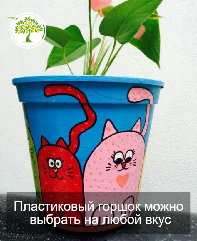 Пластиковый горшок картинка