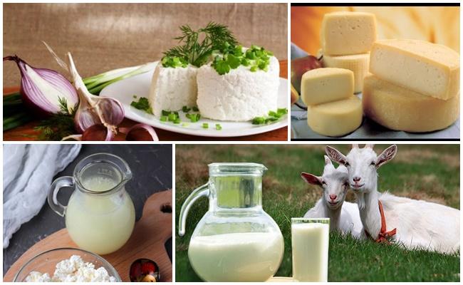 продукты из молока