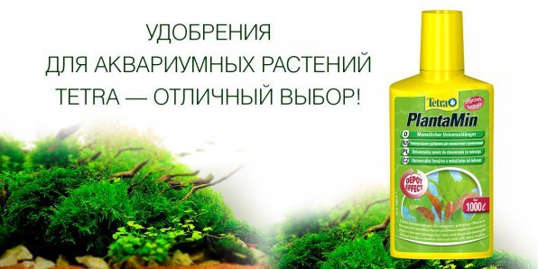 Удобрения Тетра для аквариумных растений