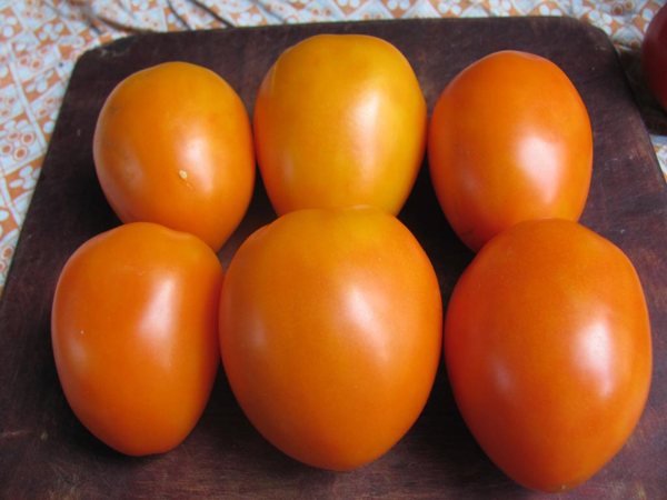 Золотые купола